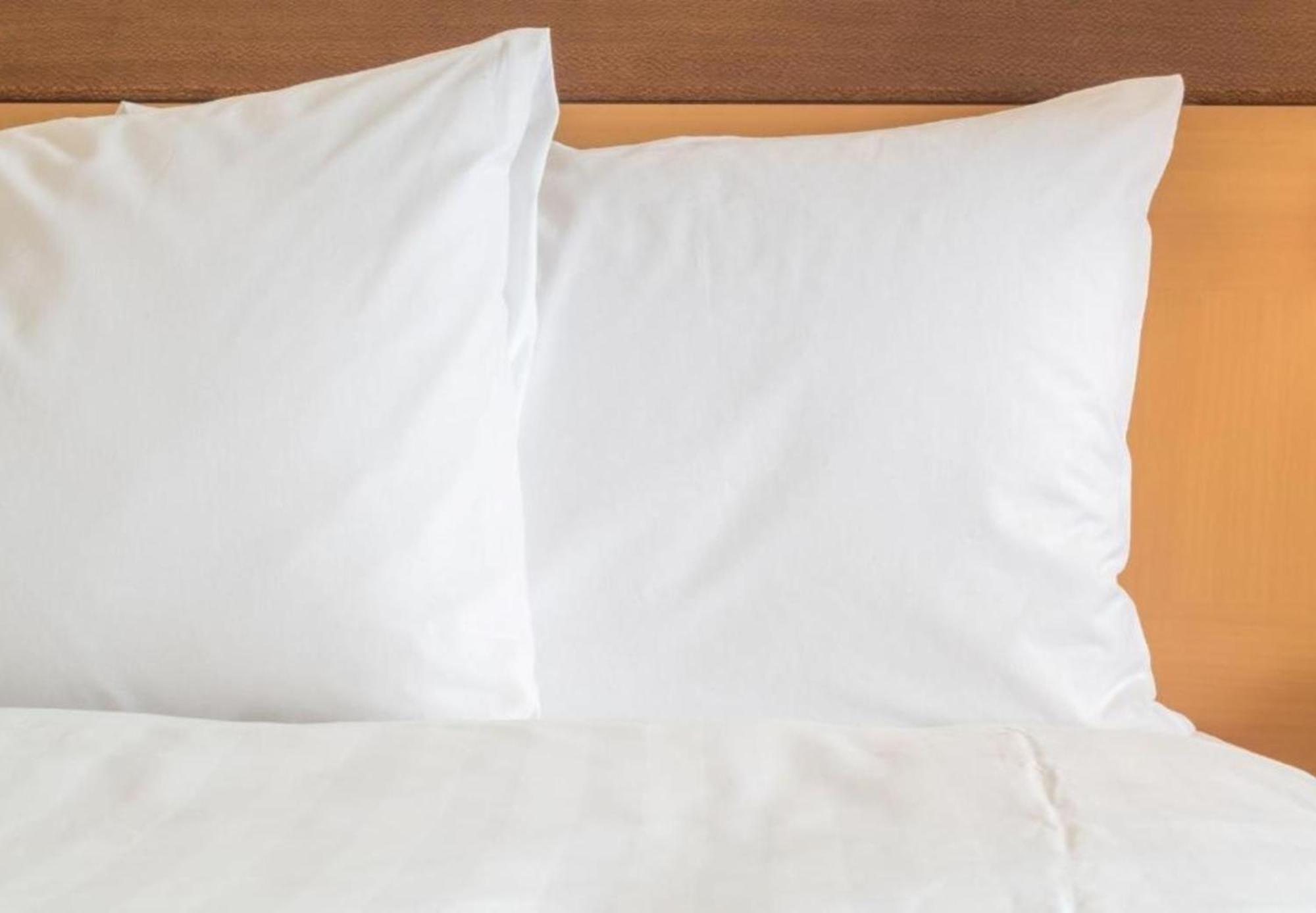 Holiday Inn Express Knoxville-Strawberry Plains By Ihg Kültér fotó